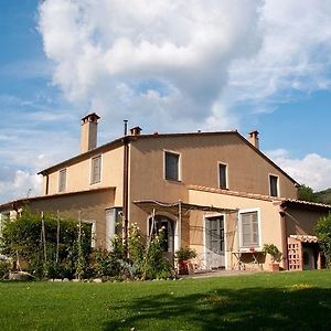 Villa Danilo By Posarellivillas